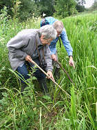 Looking for water vole